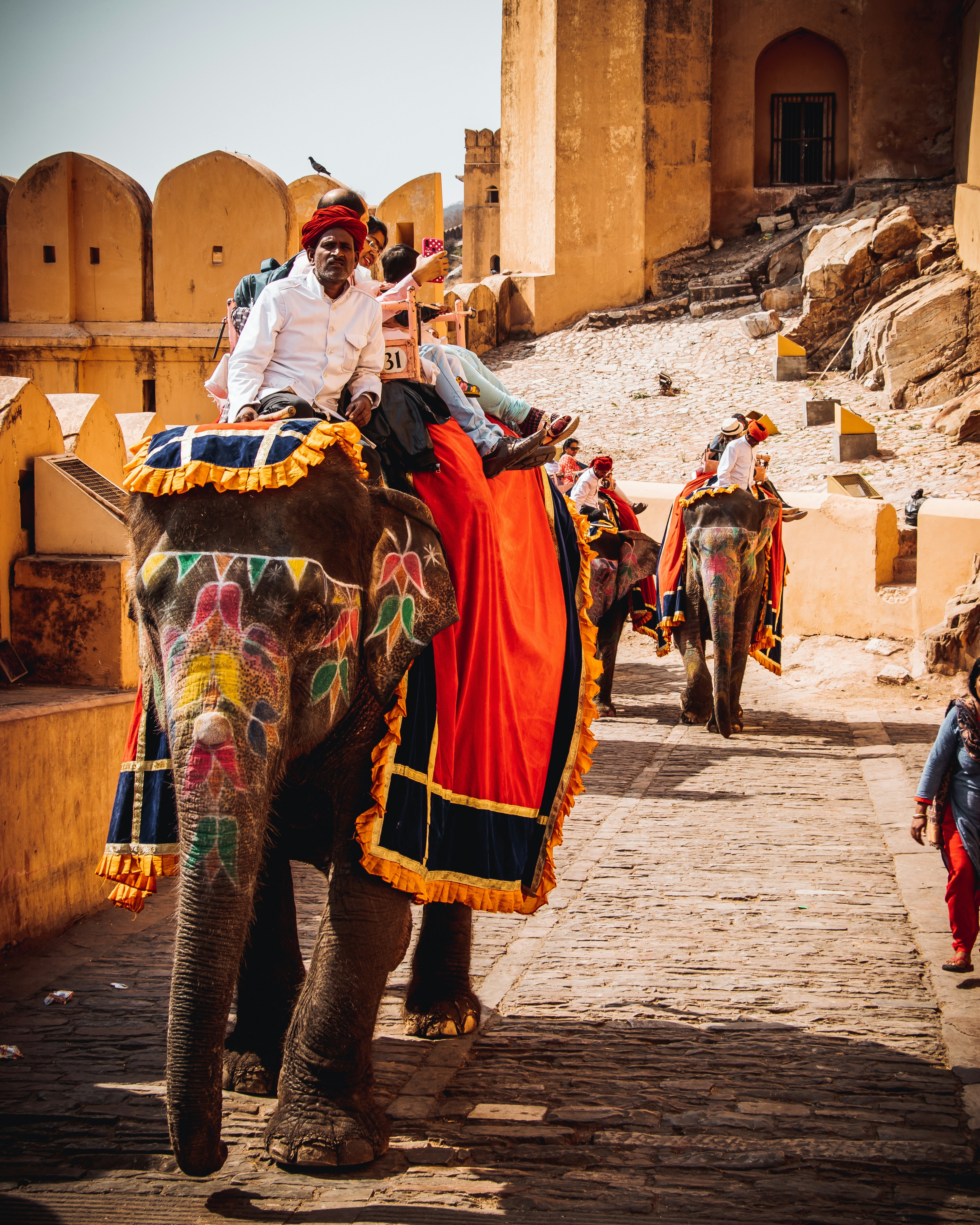 Rajasthan Royal Heritage Tour